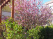 Index image
