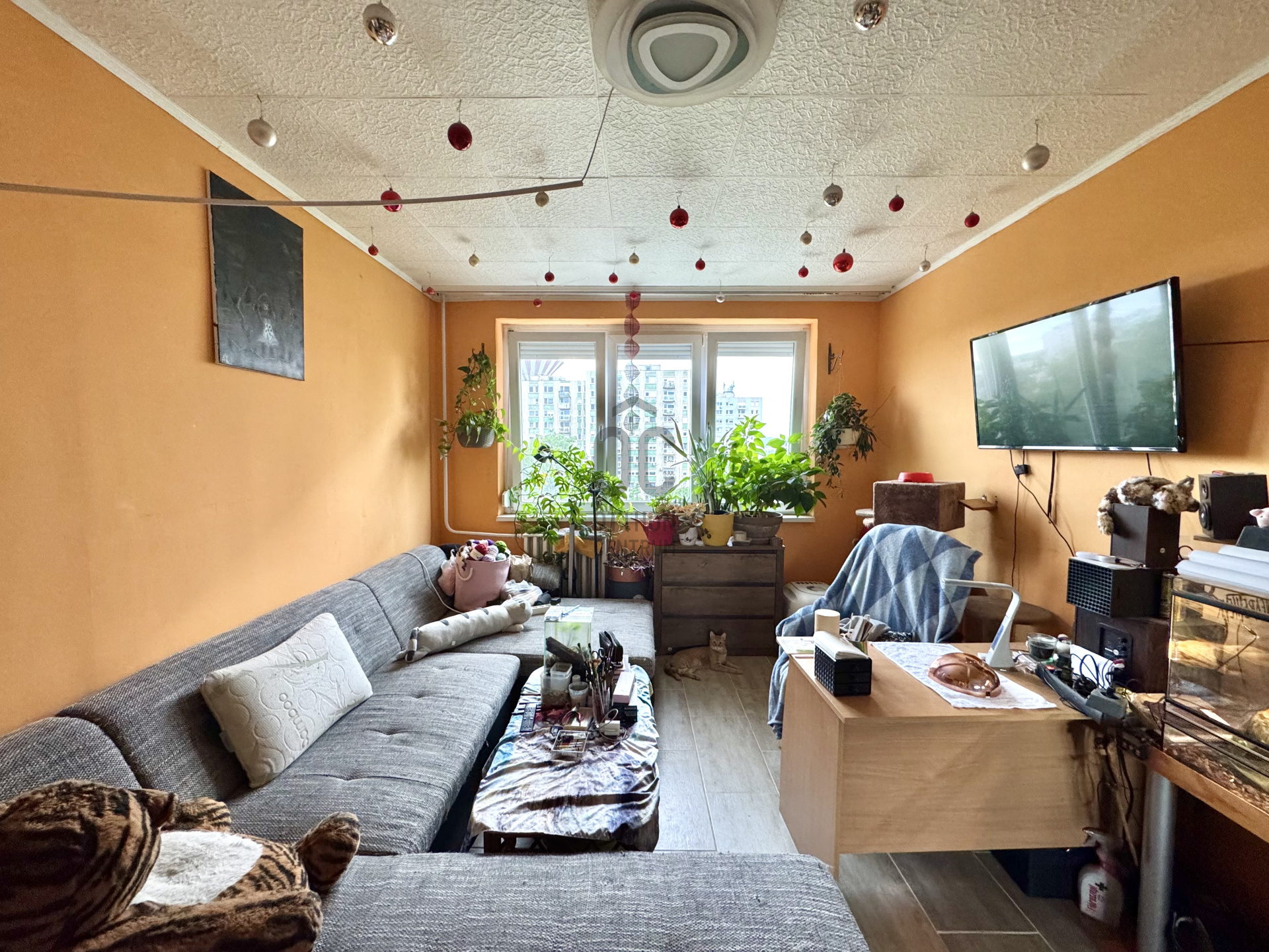 Gallery zoom image