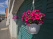 Index image