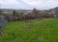 Index image