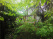 Index image