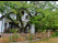 Index image