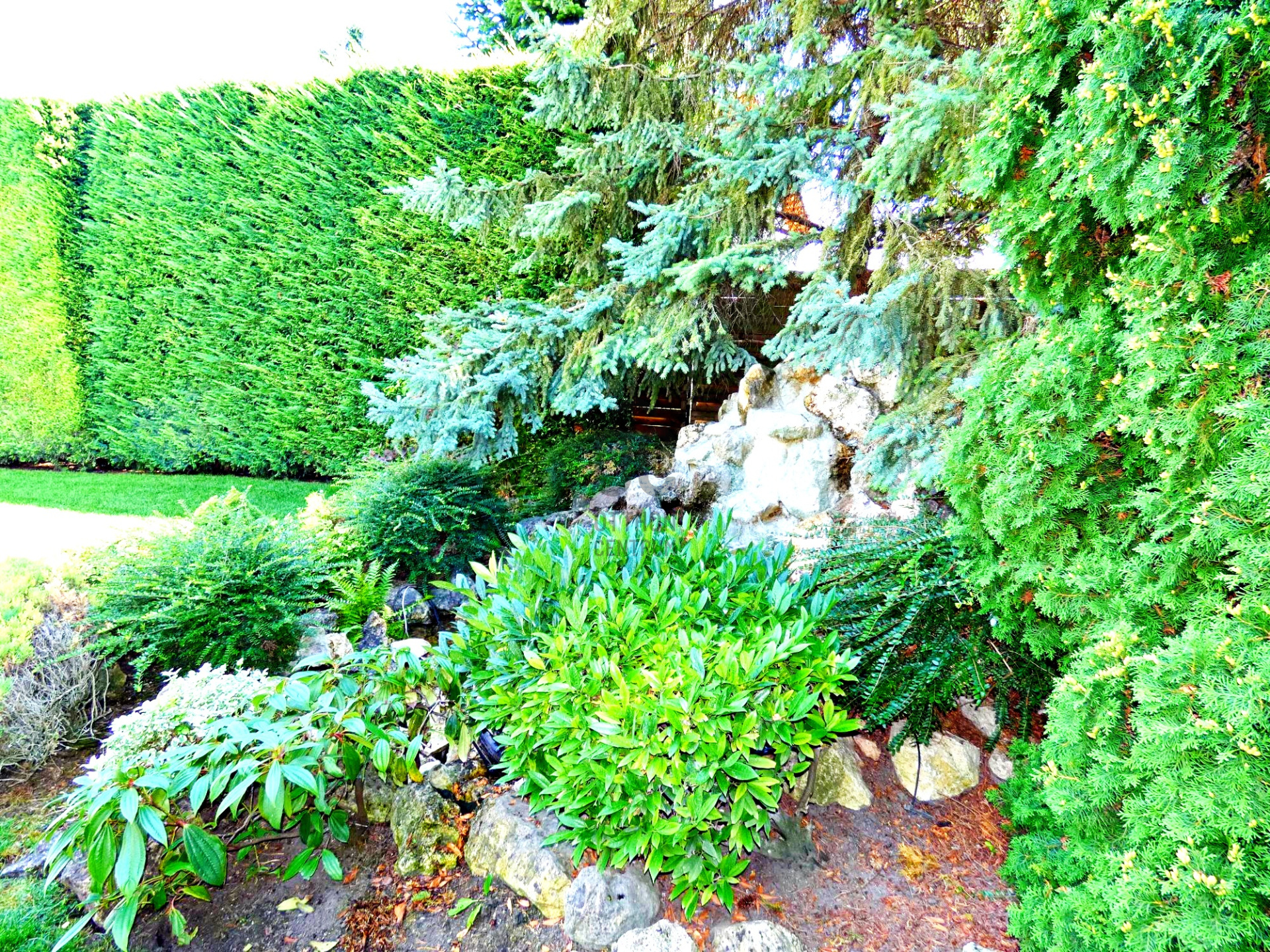 Gallery zoom image