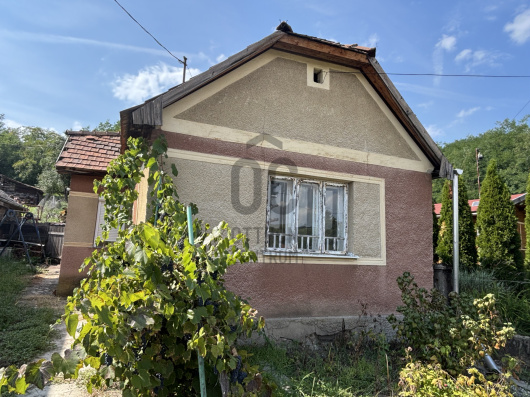 Index image