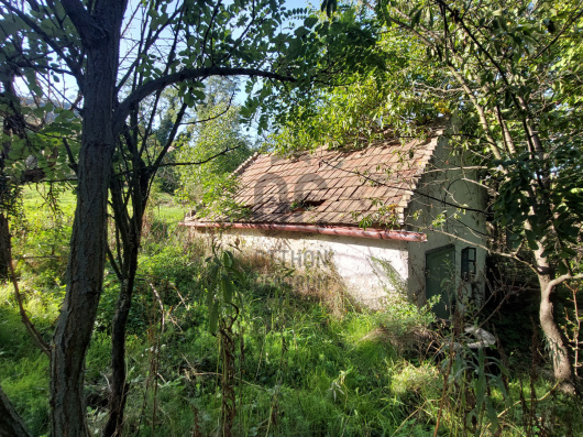 Index image