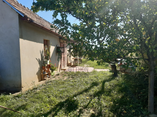 Index image