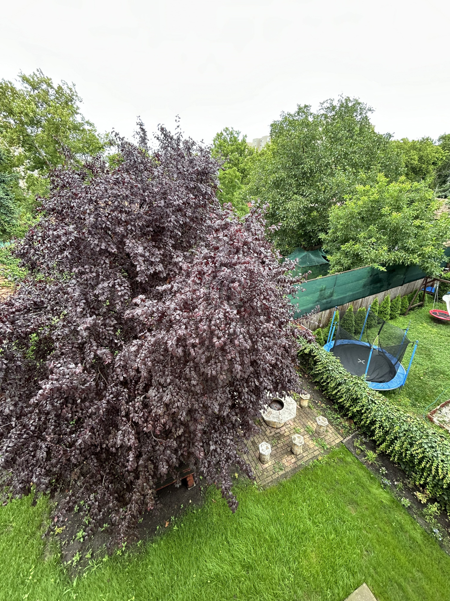 Gallery zoom image
