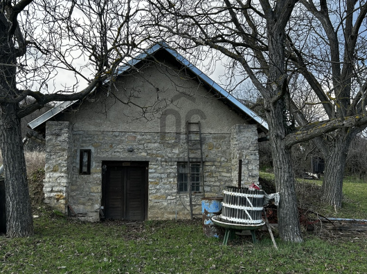 Index image
