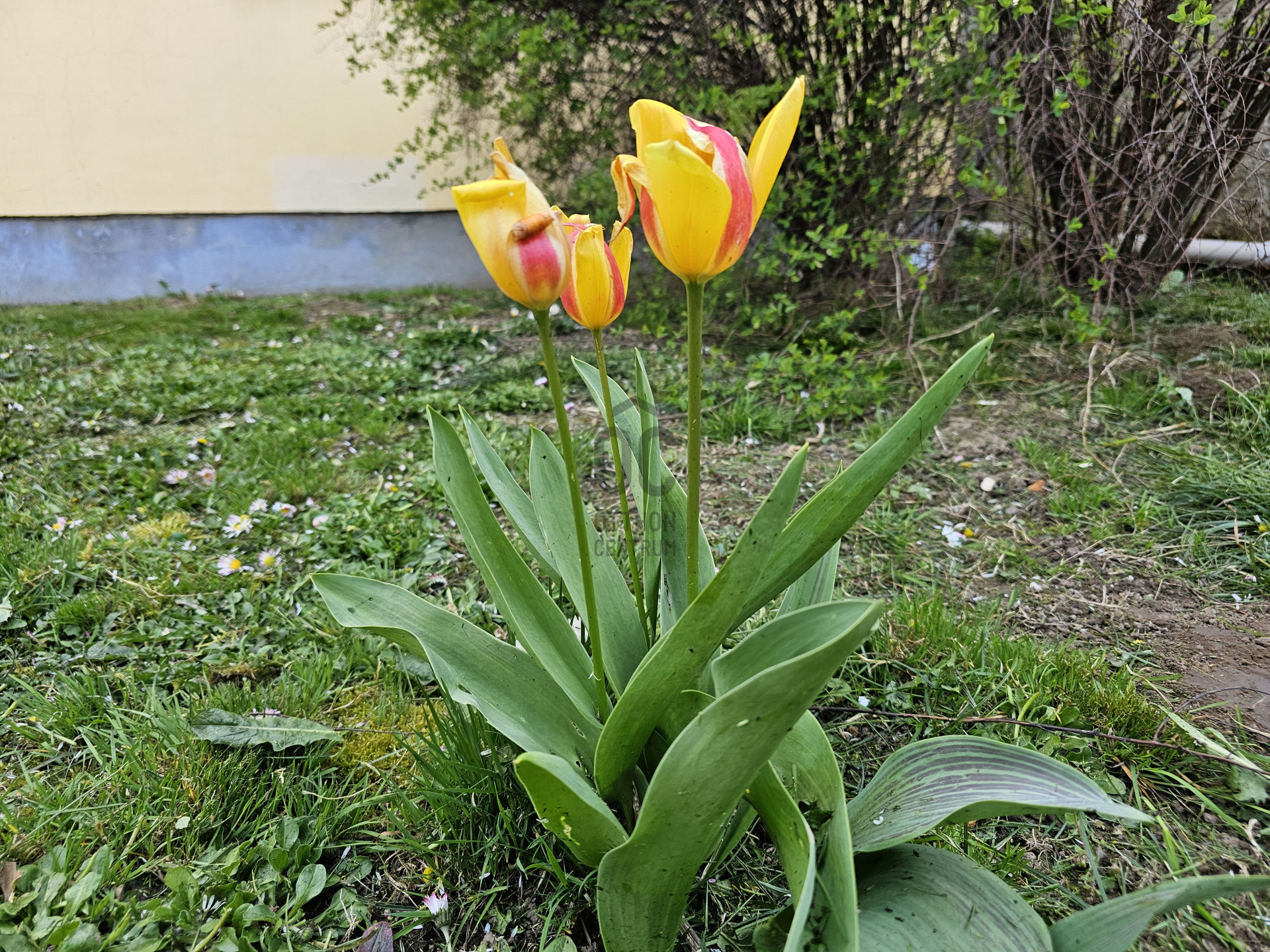 Gallery zoom image