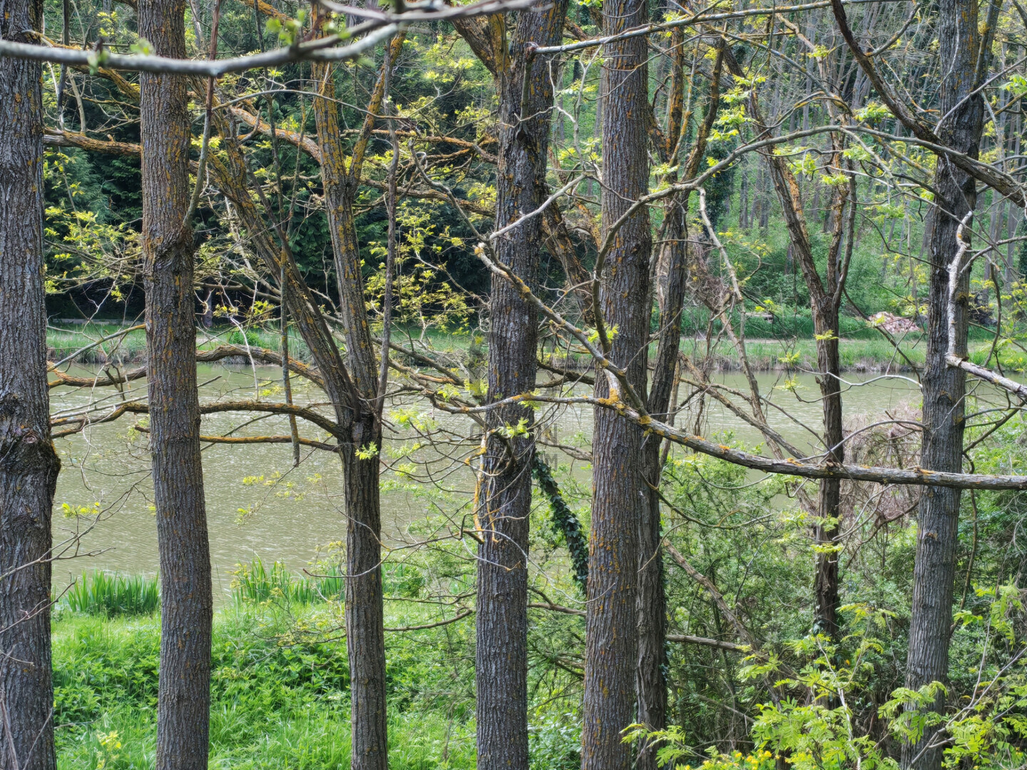 Gallery zoom image