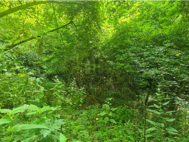 3972m² · Telek · 4.500.000 Ft