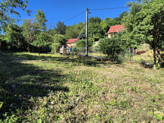 Index image