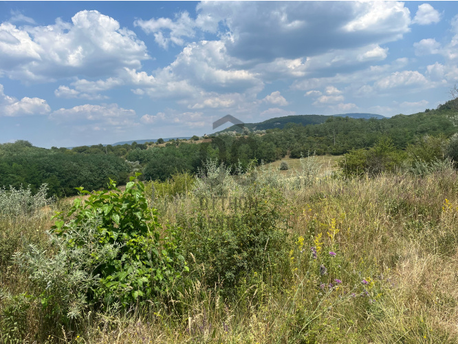1669m² · Telek · 29.500.000 Ft