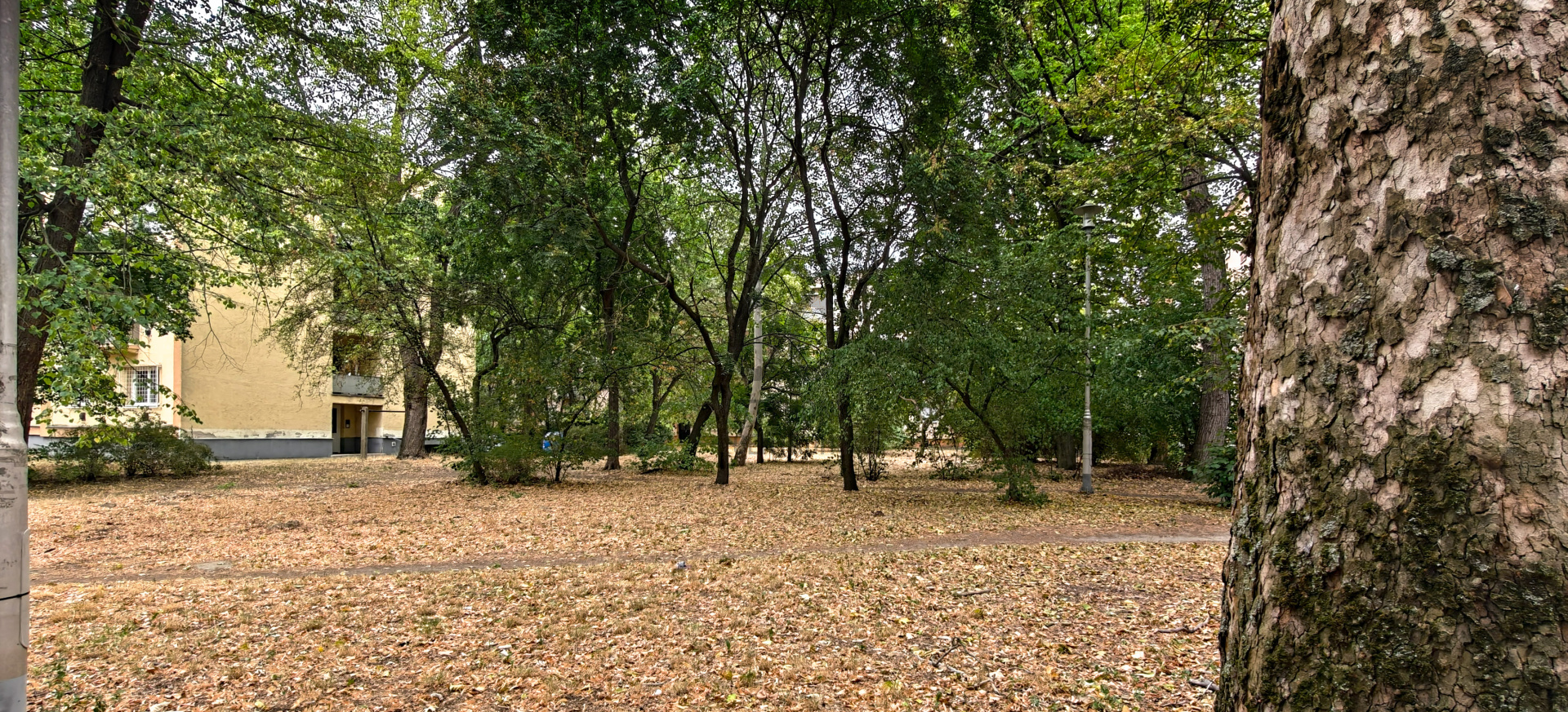 Gallery zoom image