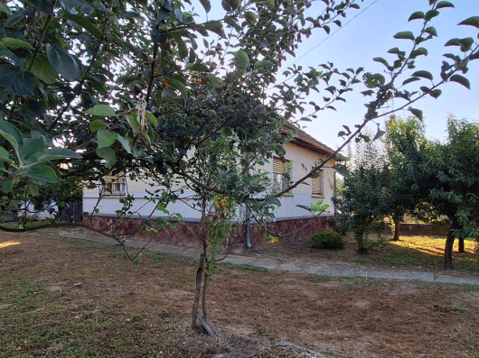 Index image