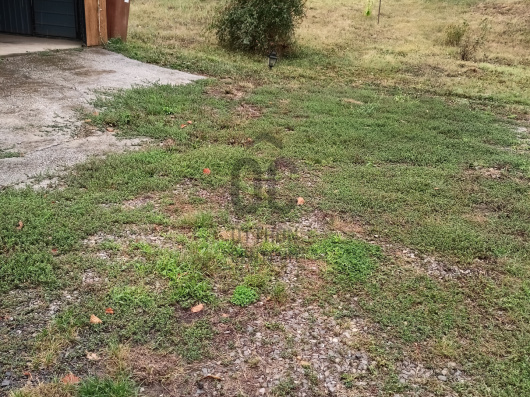 Index image