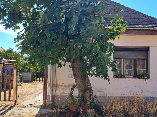 Index image