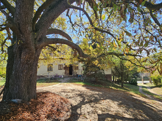 Index image