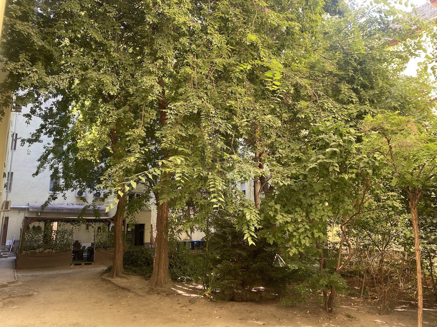 Gallery zoom image