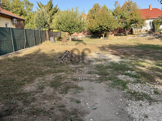 Index image